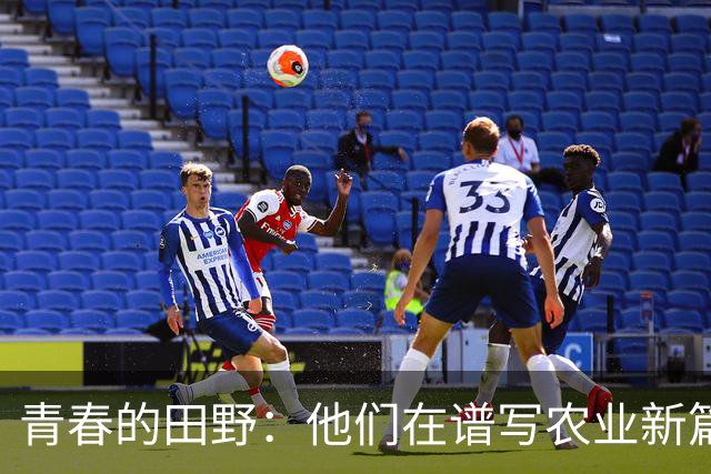 青春的田野：他们在谱写农业新篇章！